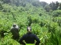 7 Rwanda Gorilla Trek